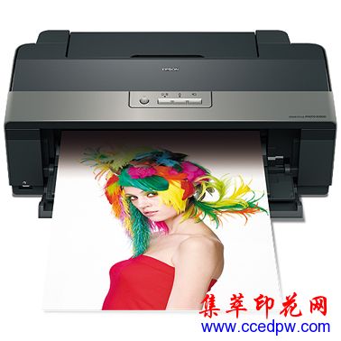 EpsonR1900ӡ