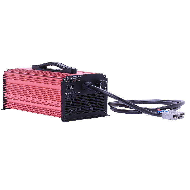 12V24V80A