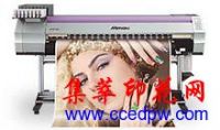 ձMimaki JV33 д