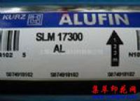 Ӧ¹KURZ SLM17300ALֽ̽