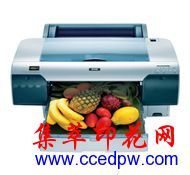 EPSON Stylus PRO 4450 A2