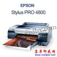 EPSON 4800 ӡ