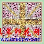 ˿��ӡ���ӹ�