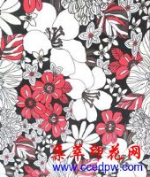 ��װ����ӡ��