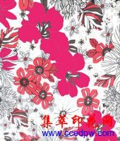 ��������ӡ��