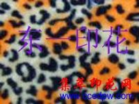 �������ӡ��