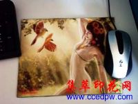 ��������ӡ��