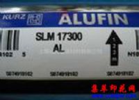 Ӧ¹KURZ SLM17300ALֽ̽