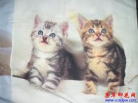 ��Ӧ��ת��ӡ���ӹ�