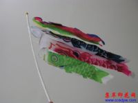 ��Ӧ������ӡ��