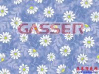 ����ӡ��