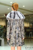 Ƥ����ƤƤ��ӡ����ӡ