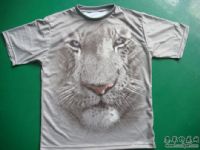 �������С�����3DT�� ����ӡ��