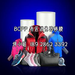 SBOPP22umìF(xin)xĤ